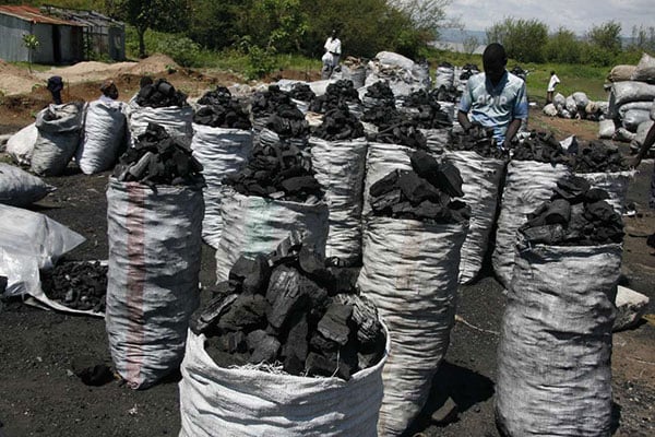NEMA Vows to Arrest and Prosecute Illegal Commercial Charcoal Dealers in Uganda;