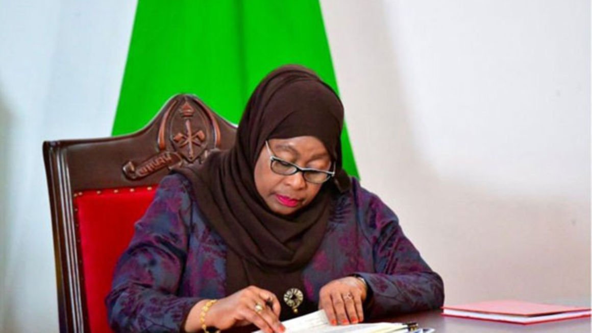 Easy does it, President Suluhu, first of her kind, seems in charge - Vimarsana News