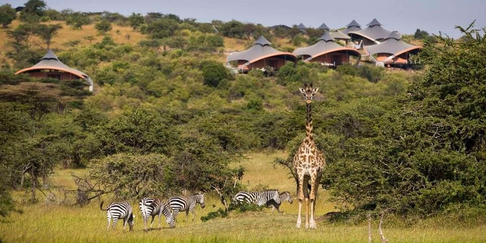 Photo of El Hotel Maasai Mara en Kenia fue nombrado el mejor del mundo