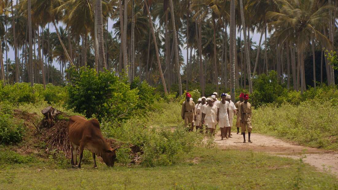 Bongo film premieres at Toronto festival - Vimarsana News