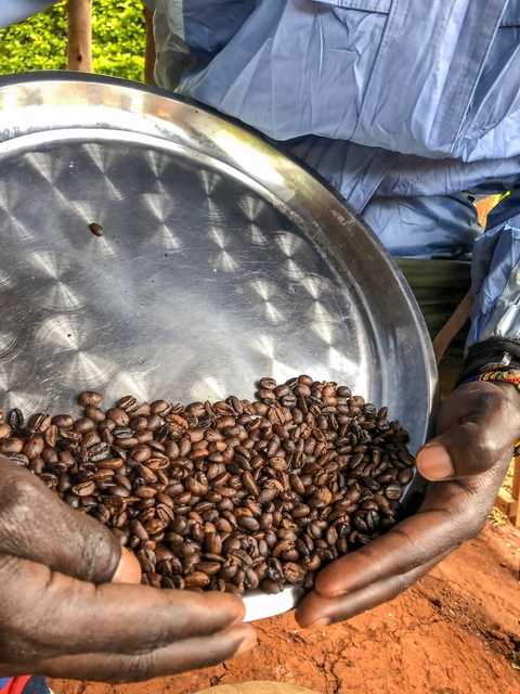 Il parlamento ugandese rinvia la decisione sull’accordo di esportazione del caffè
