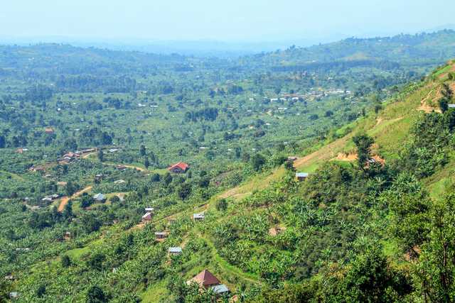 Off the beaten track to see Mountains of the Moon - Vimarsana News