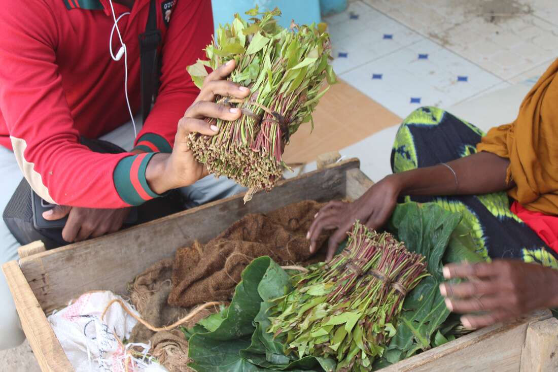 Kenya exports $2m worth of miraa to Somalia in four days - Vimarsana News
