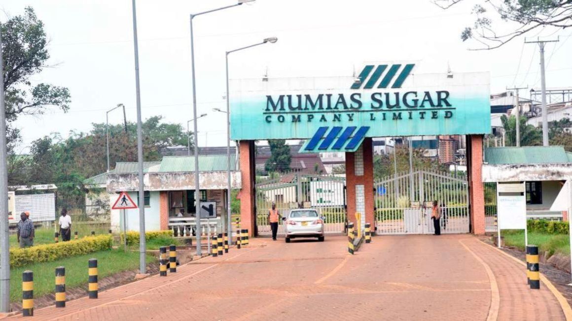 Uganda's Sarrai Group cleared to resume operations in Mumias Sugar - Vimarsana News