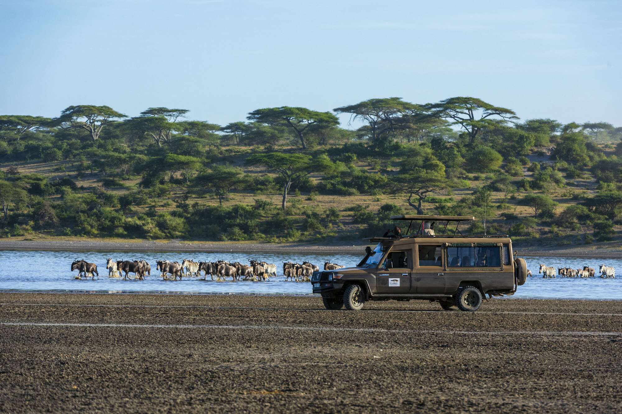 Tanzania slashes park fees to woo East African tourists - Vimarsana News