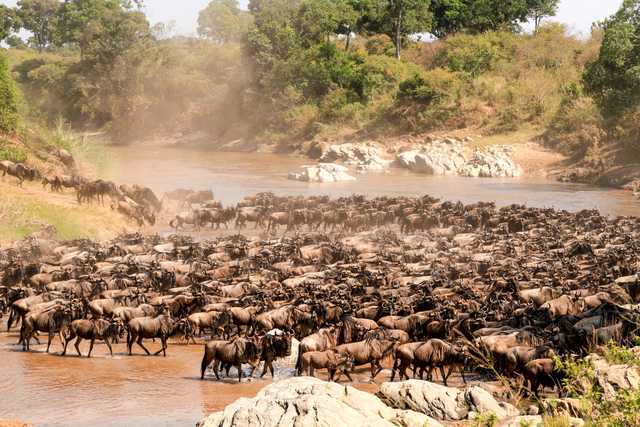 Tourism industry turnaround needs smart choices - Vimarsana News