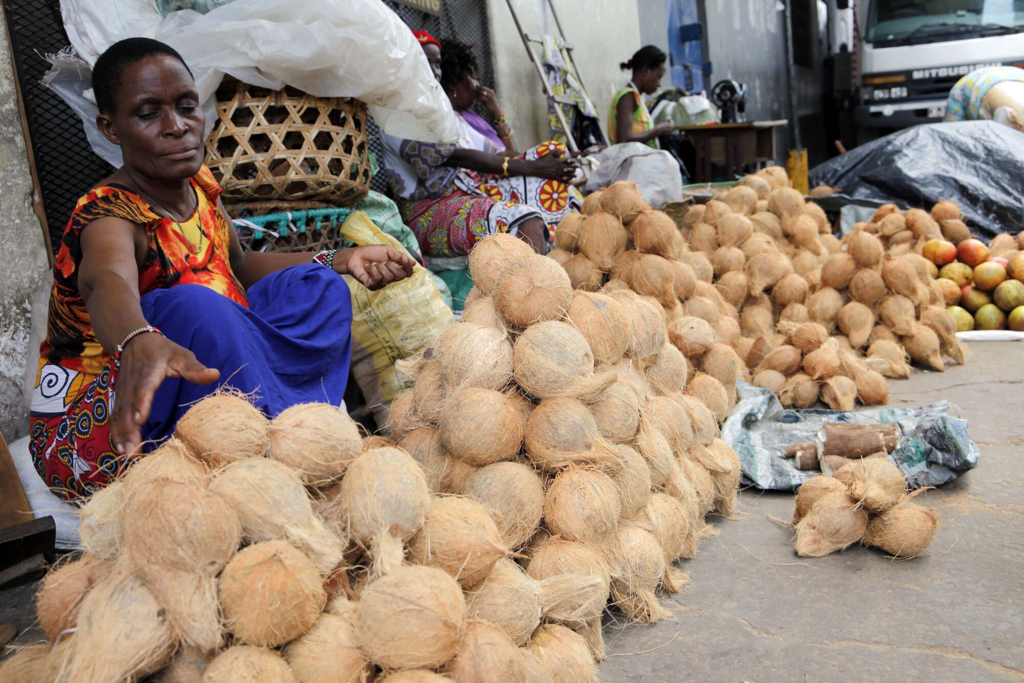 Outcry in Zanzibar as coconut prices rise amid production shortfall - Vimarsana News