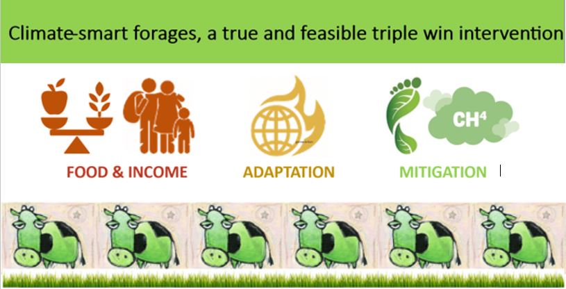 Implementing research-based climate action for better adaptation - Vimarsana News