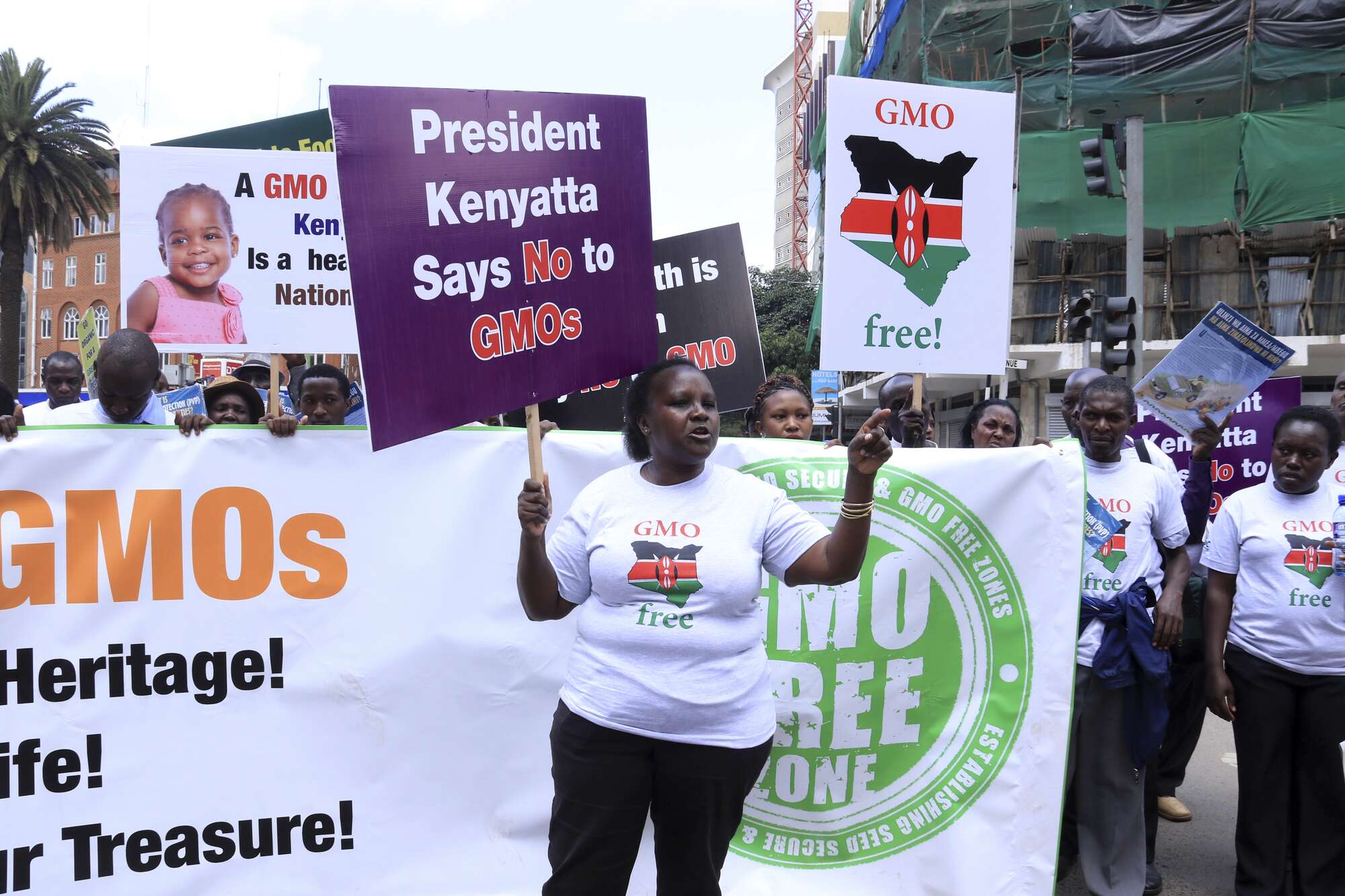 Region abandons pro-GMO arena as Kenya awaits first seed import - Vimarsana News