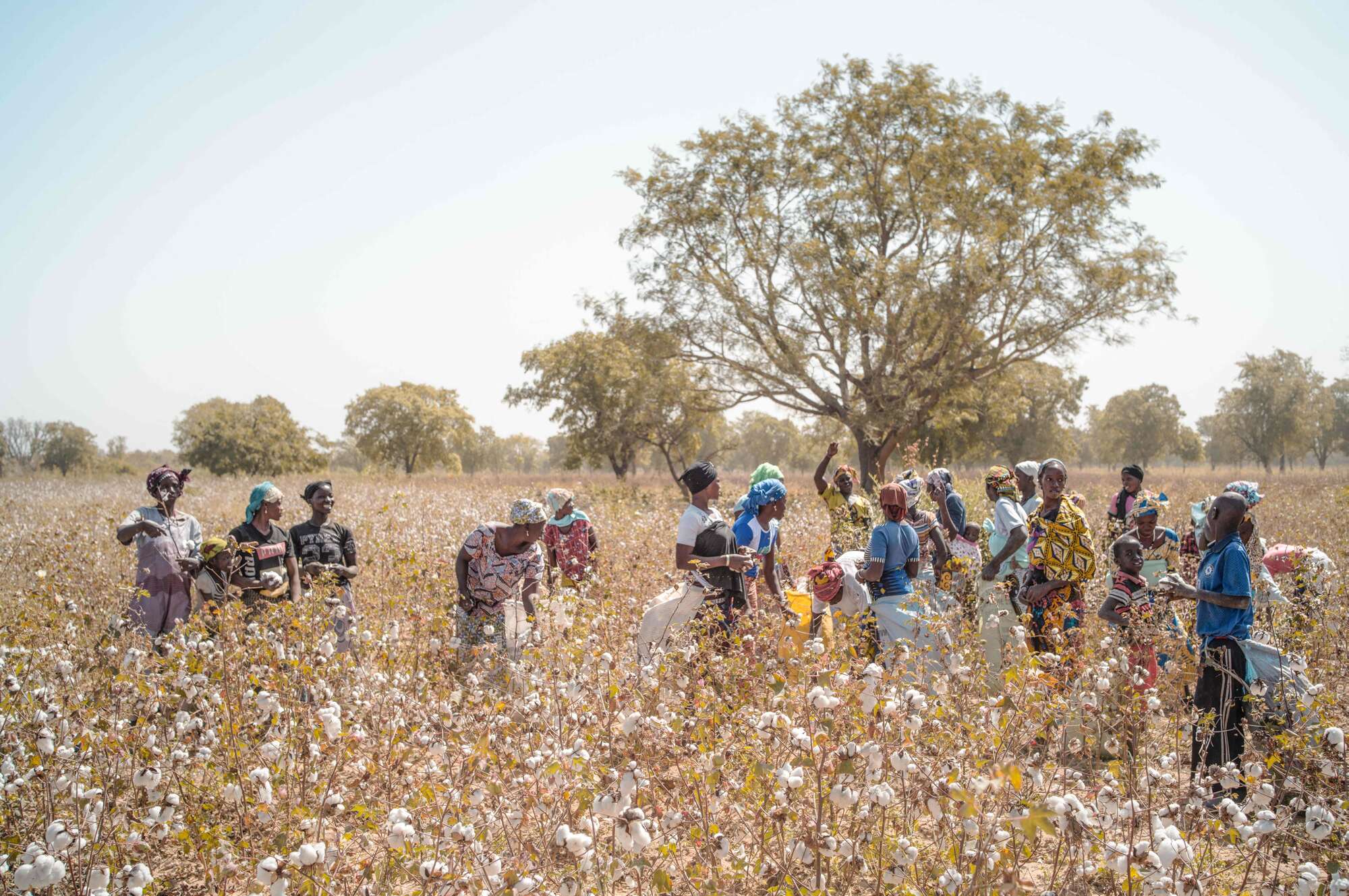 Mali: A lesson in how conflict takes food out of people's mouth - Vimarsana News