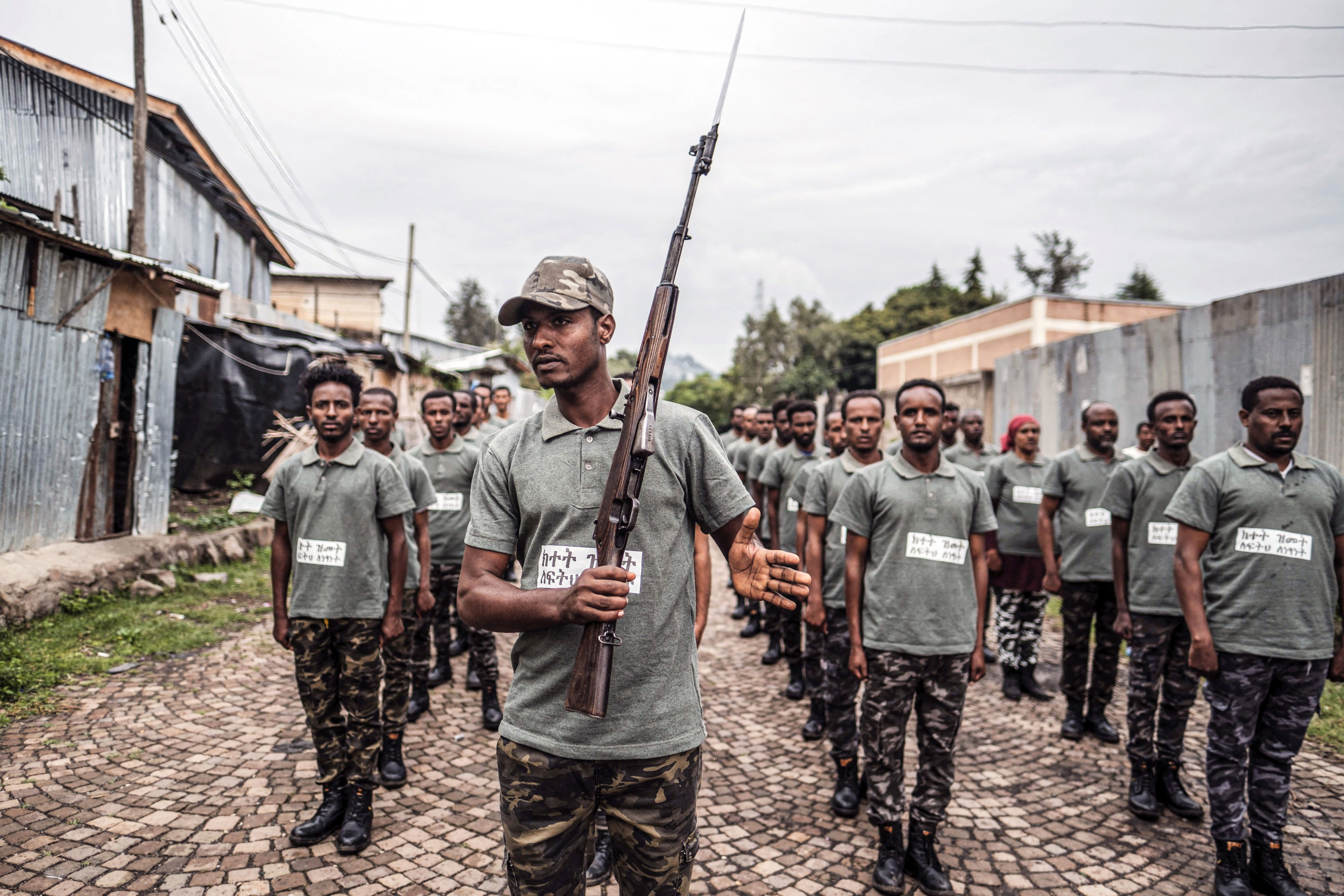 Ethiopia's post-war challenge: Disarming regional militias - Vimarsana News