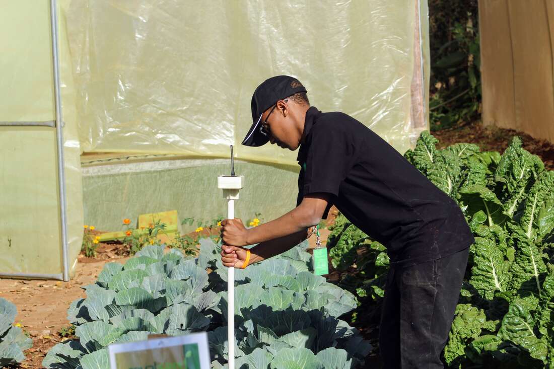 Smart farming could feed Africa and grow wealth - Vimarsana News