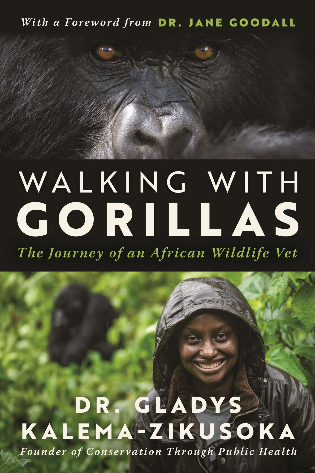 Uganda's first wildlife vet pens her journey to rescue gorillas - Vimarsana News
