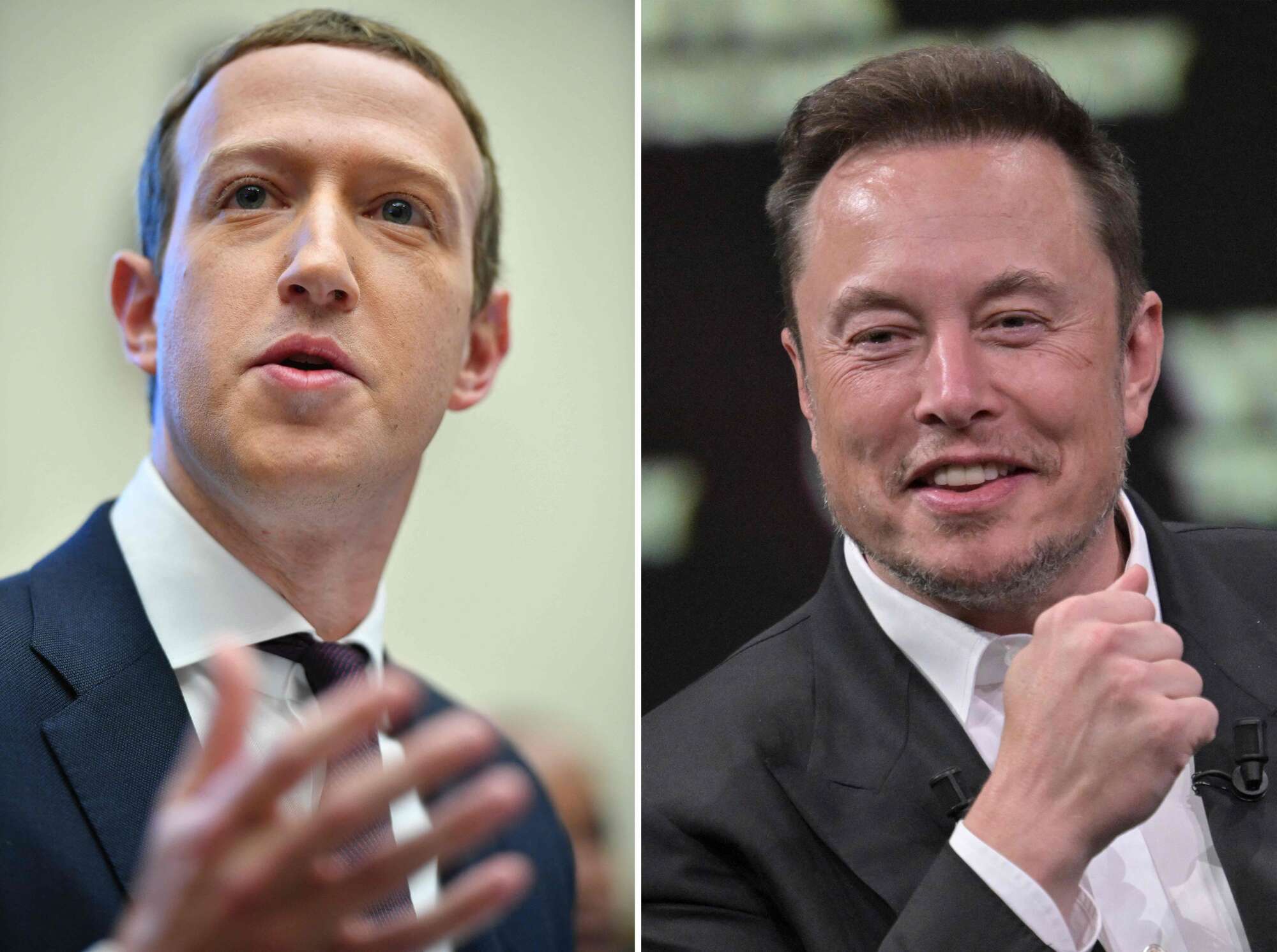Zuckerberg accepts Musk's challenge to engage in cage fight - Vimarsana News