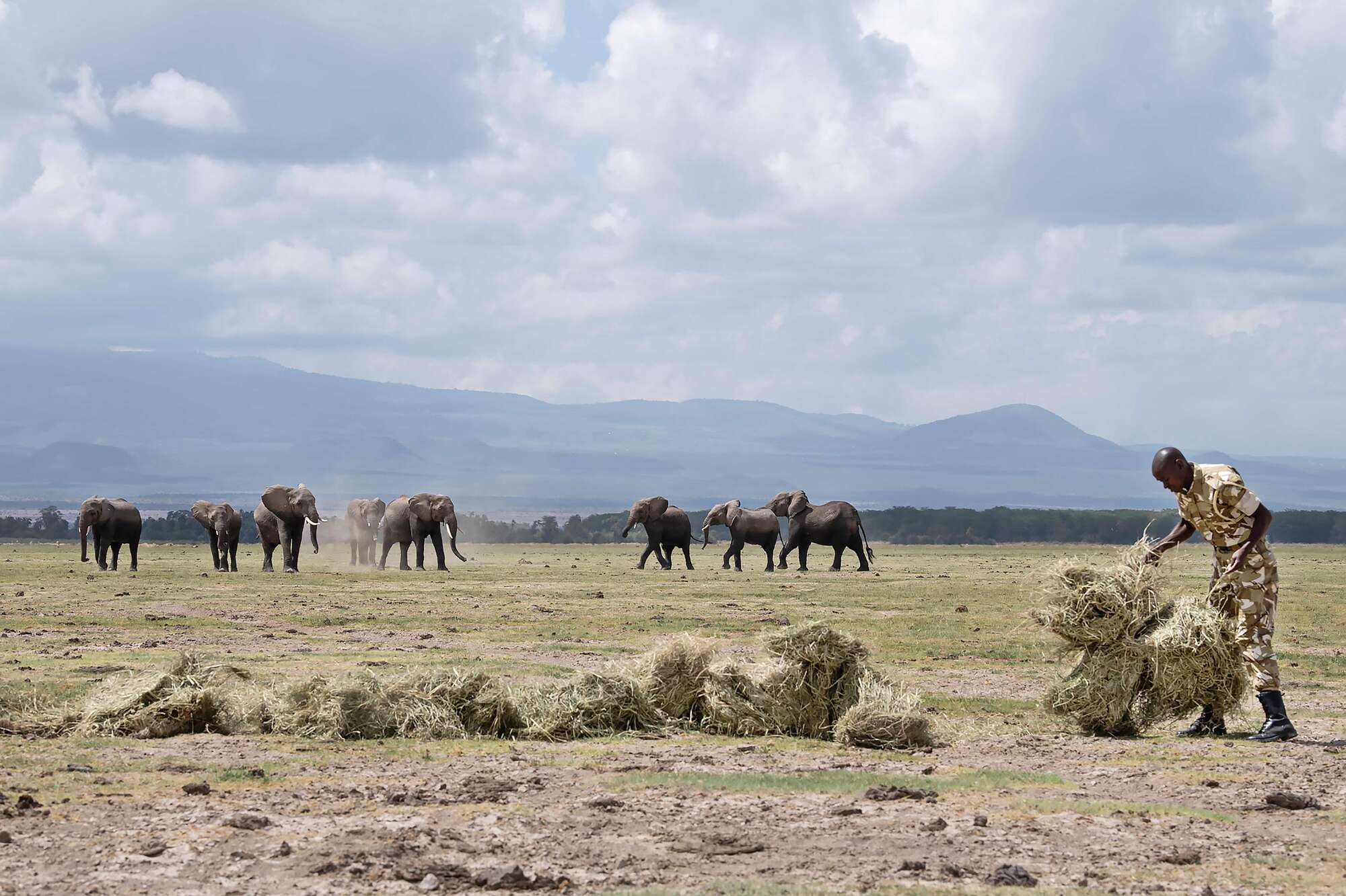Kenya suspend licensing new conservancies - Vimarsana News