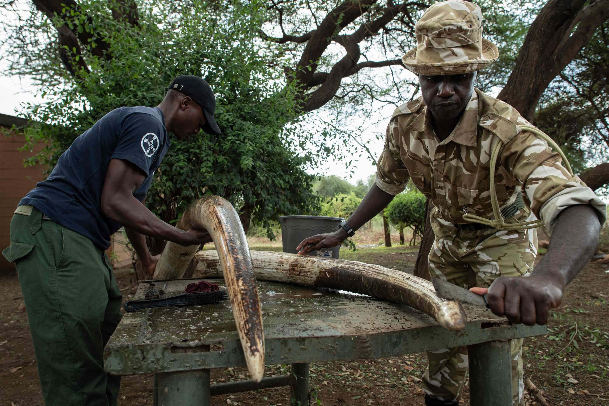 Inside the gruelling work of rangers as physical guardians of nature - Vimarsana News
