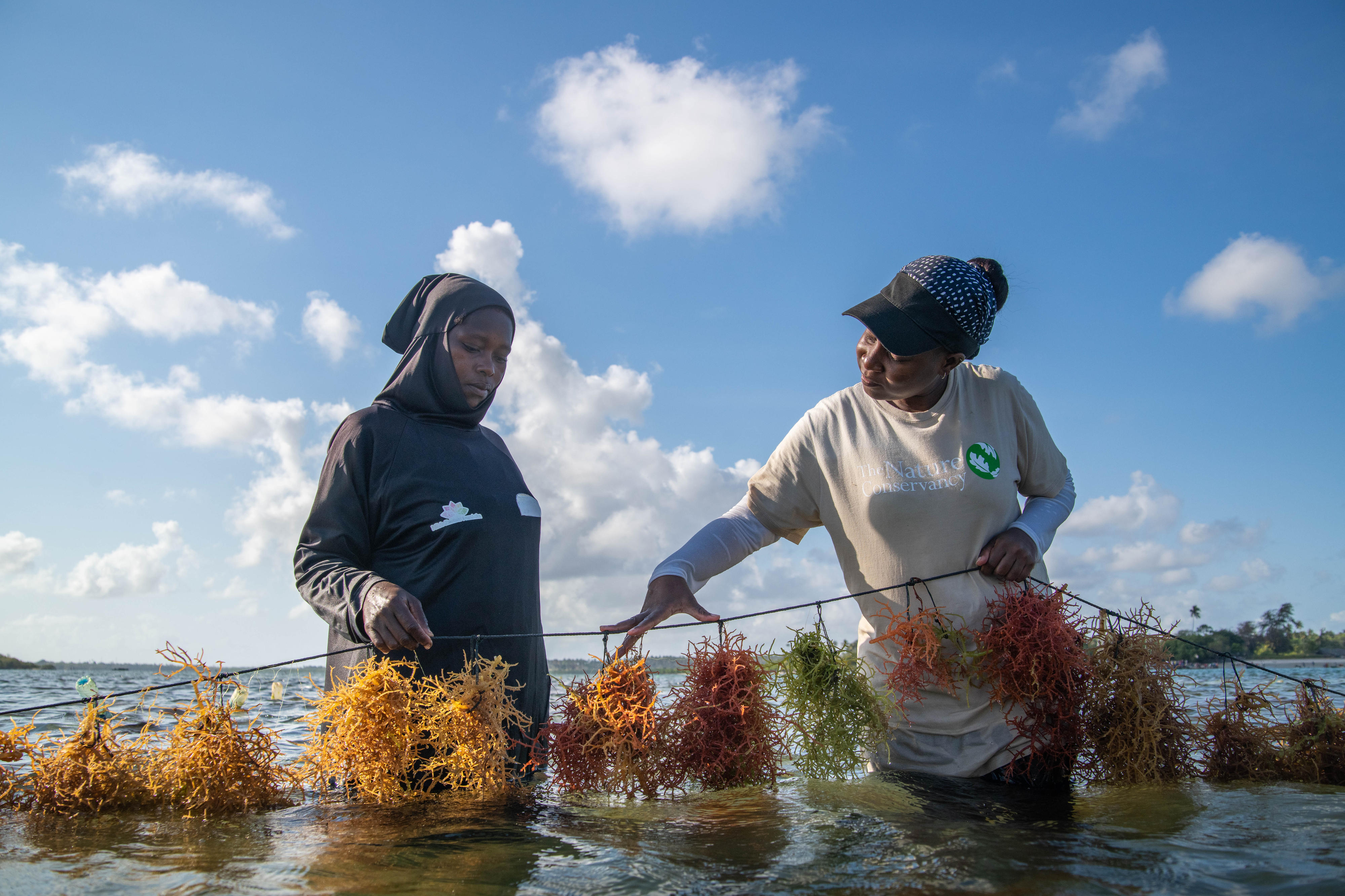 Ocean planning is key for a sustainable blue economy - Vimarsana News