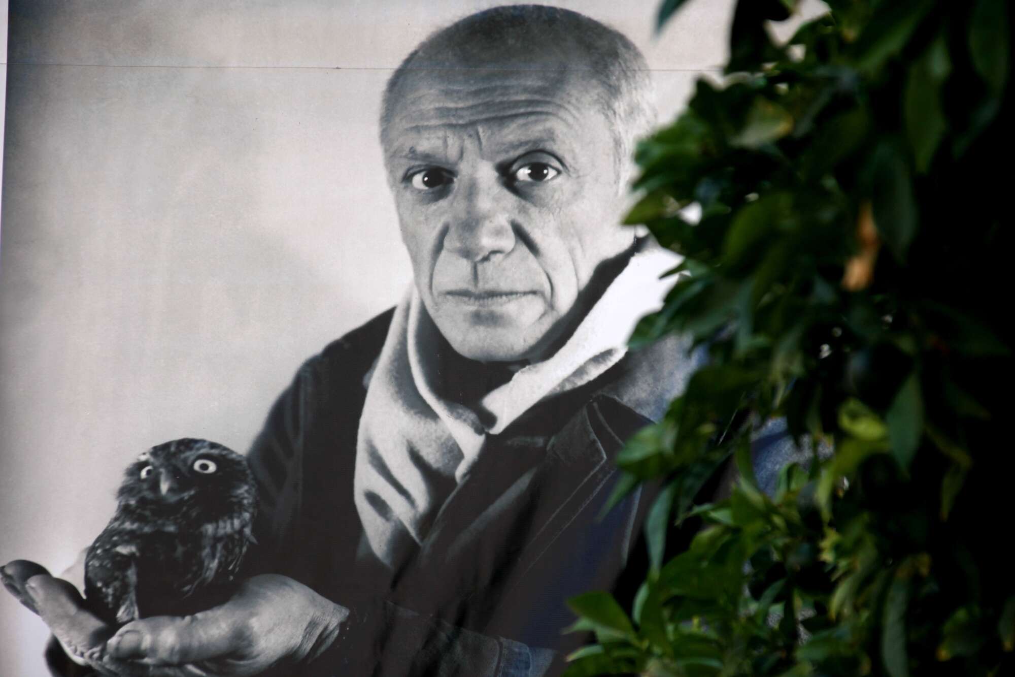 Picasso masterpiece to fetch $120m in November auction - Vimarsana News
