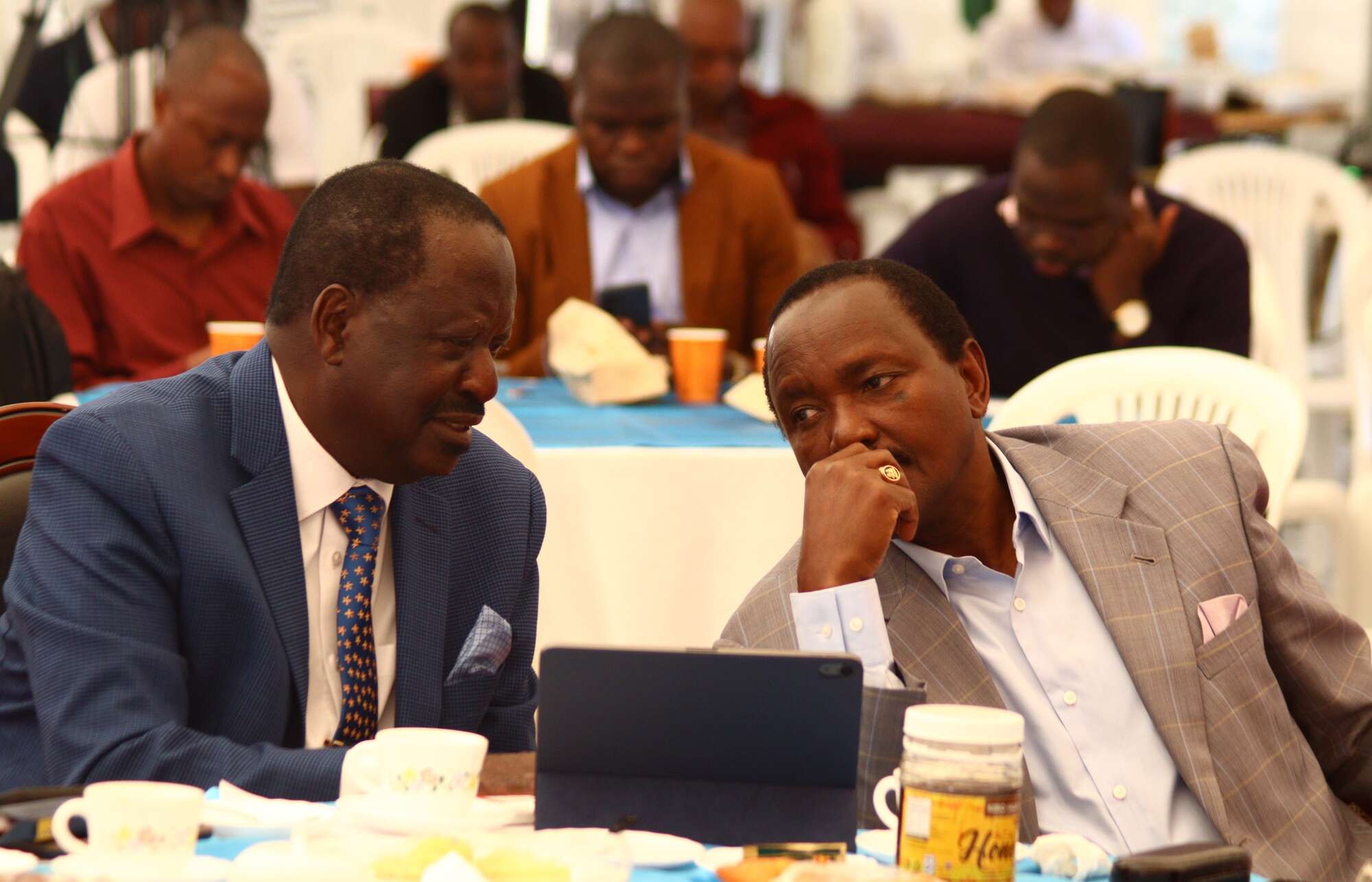 Ruto hopes he will face Kalonzo in the 2027 race - Vimarsana News