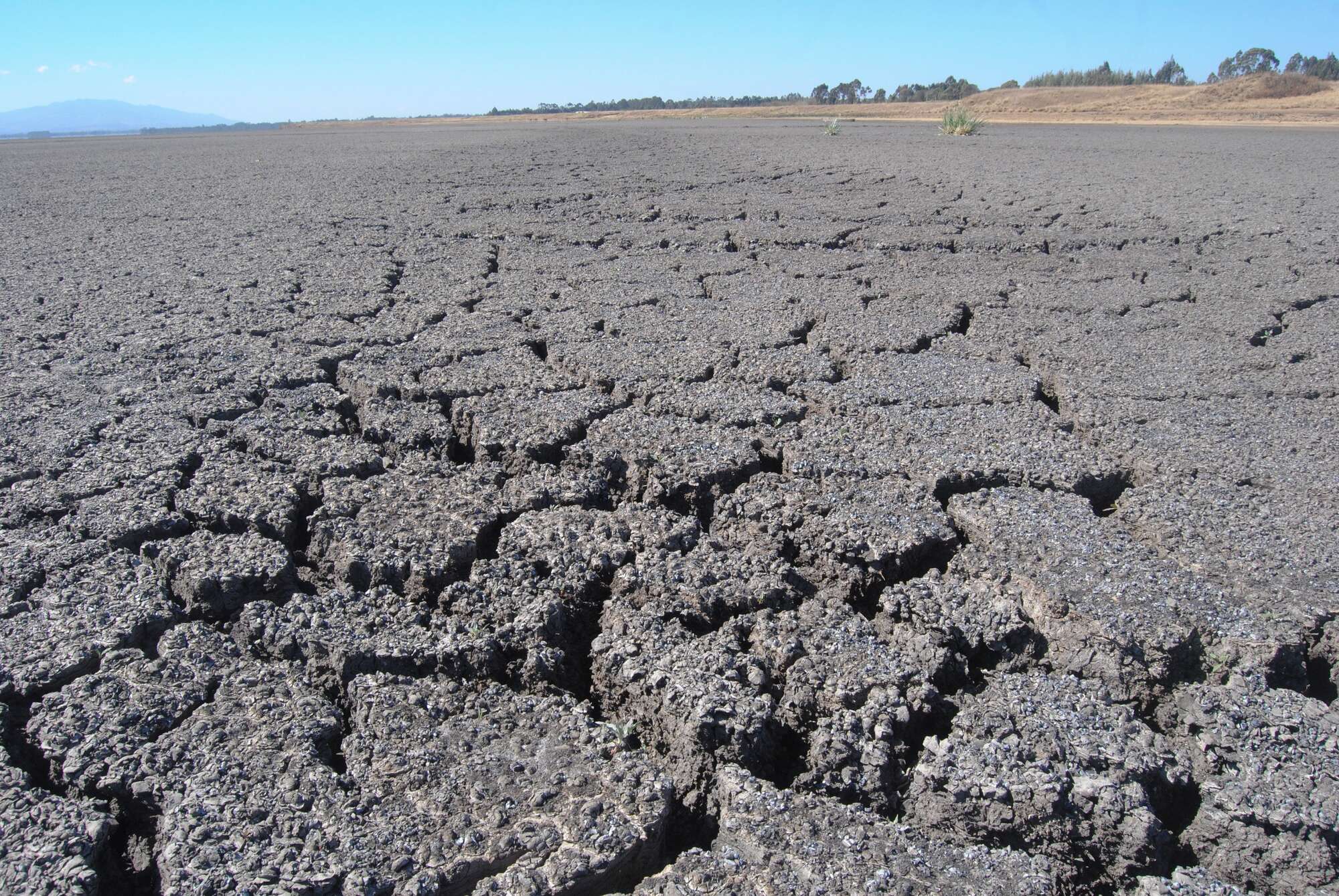 Crucial climate mitigation tech underfunded, report says - Vimarsana News