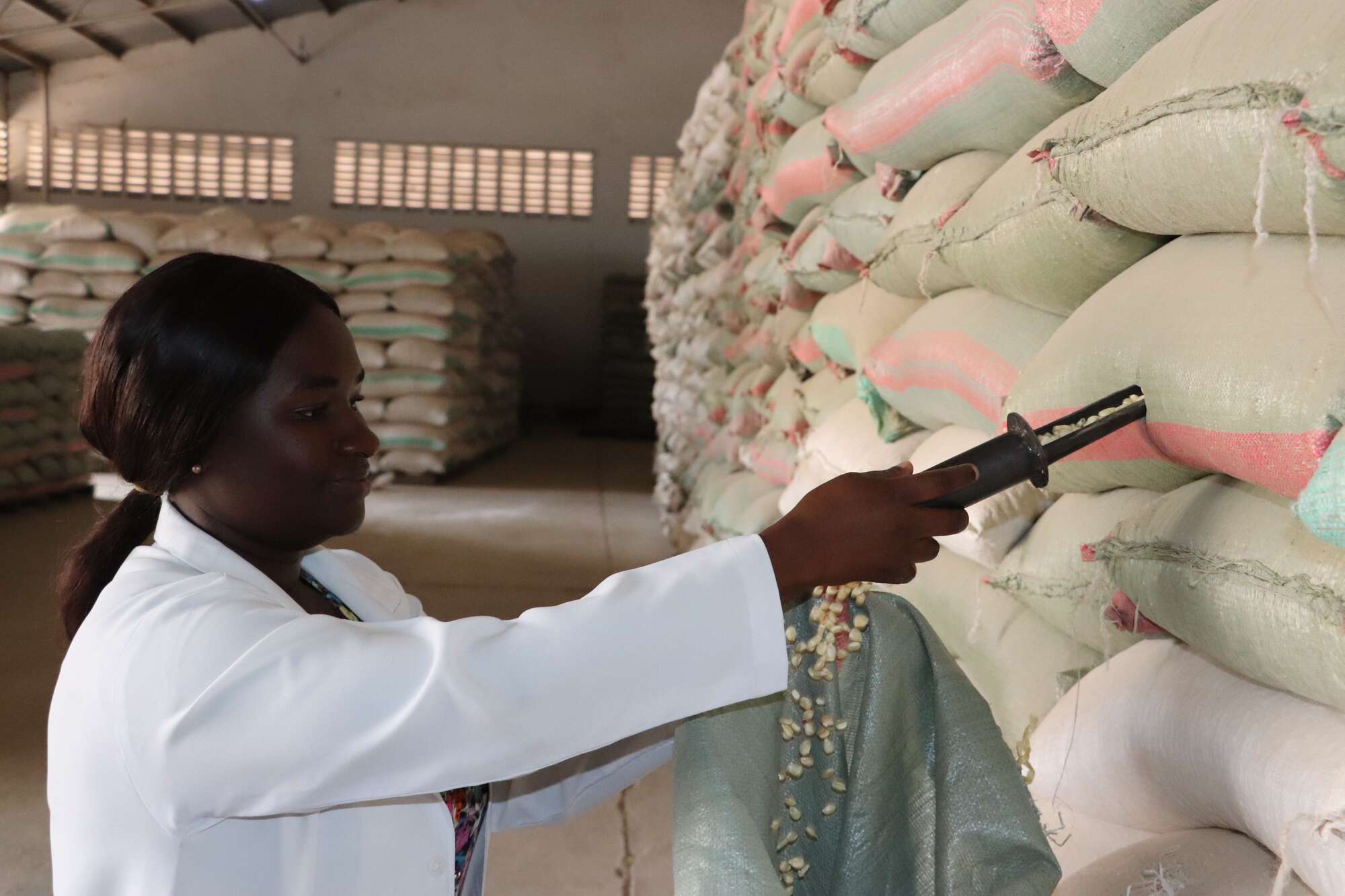 EAC sounds death knell to aflatoxin with proposed uniform testing kit - Vimarsana News