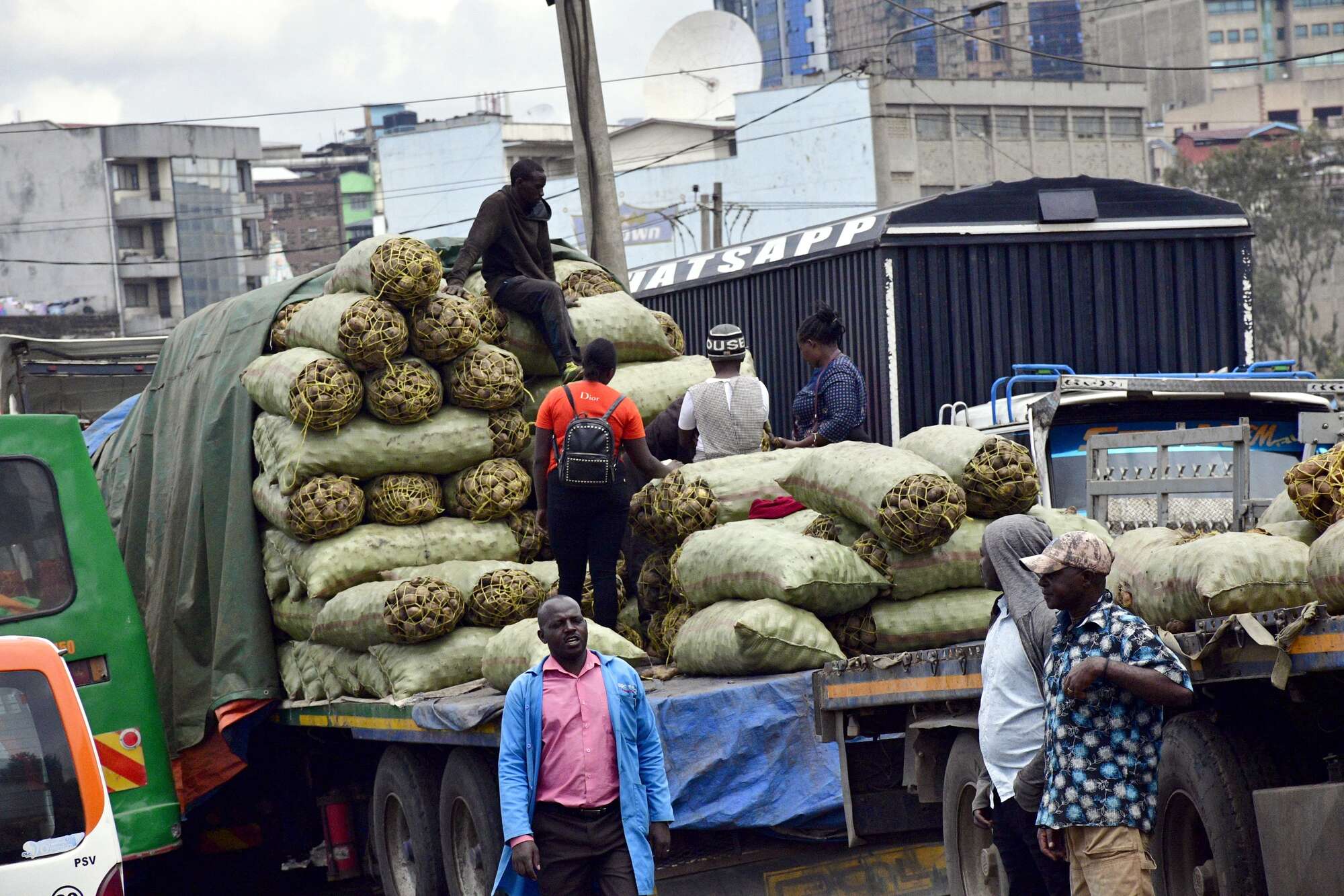 External shocks dim East fricaA economic growth prospects - Vimarsana News