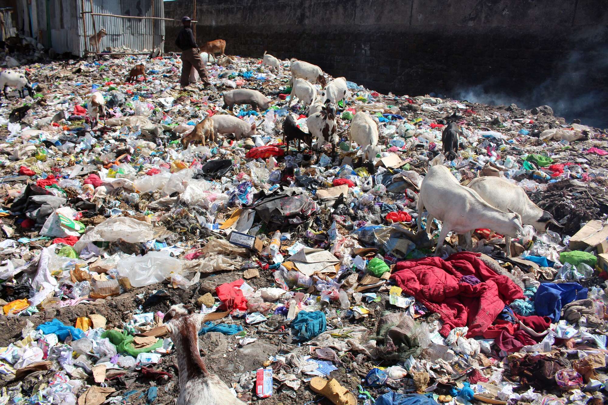Somalia joins Kenya, Rwanda in banning single-use plastics - Vimarsana News