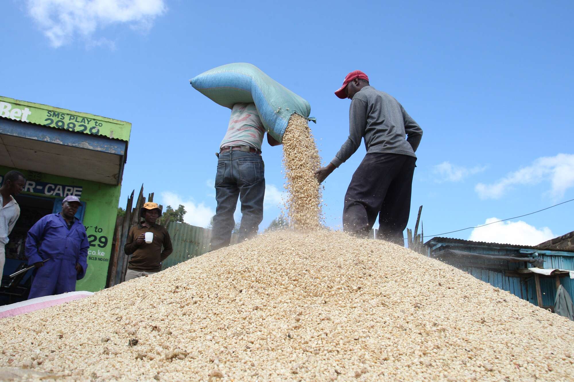 Kenya loses 42pc of Tanzania maize imports, seeks alternative sources - Vimarsana News