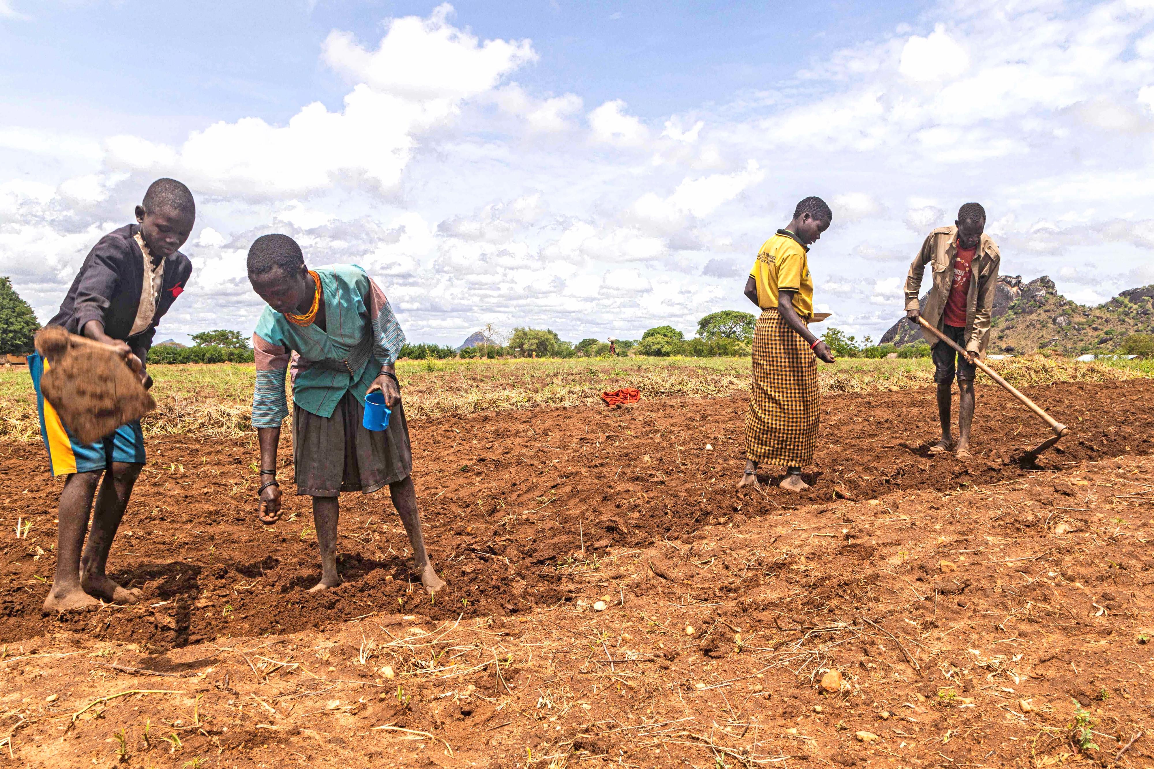 Uganda's fight against cattle raiders dividing Karamoja people - Vimarsana News