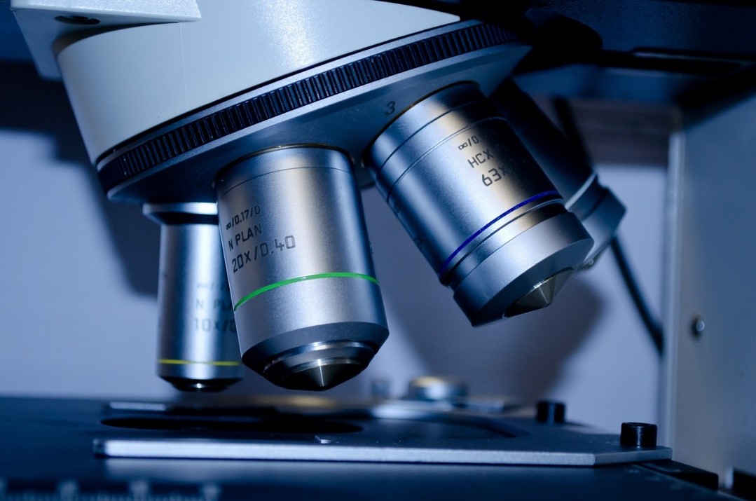 Thyrotropin (Protirelin): Potential research functions - Vimarsana News