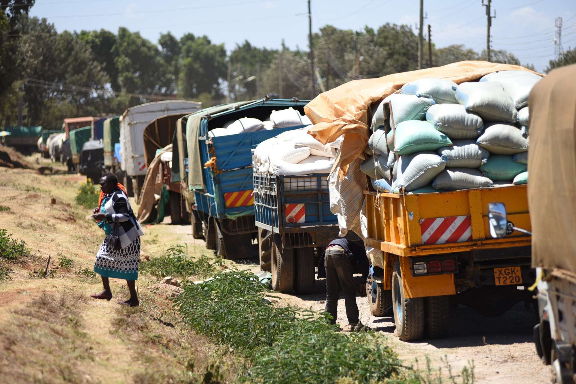 Cautious optimism as Kenya, Uganda trade in sugar, milk resumes - Vimarsana News