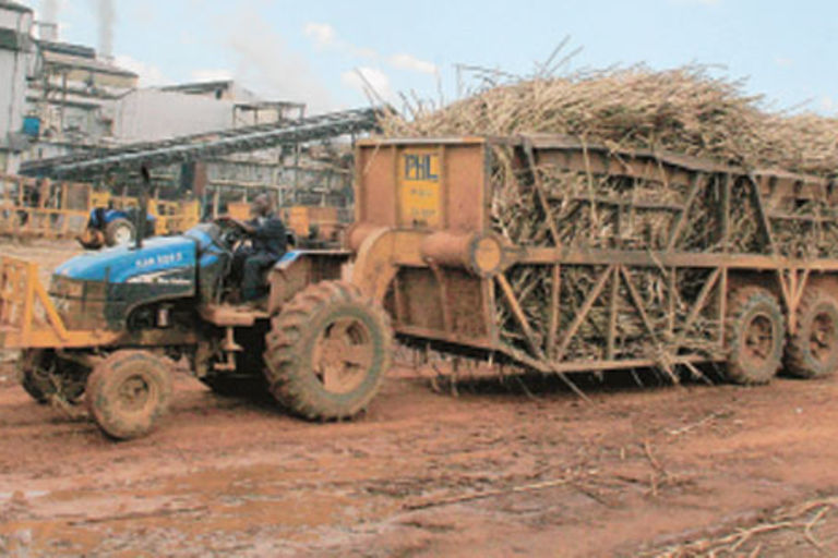 Ruto’s tough new rules on sugar imports could spark Comesa sanctions ...