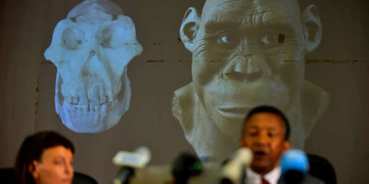 Skull find in Ethiopia yields new clues on how humans evolved - The ...
