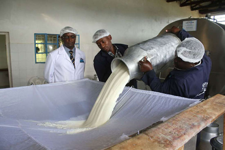 Kenya to impose 16 percent VAT on Uganda milk - The East African
