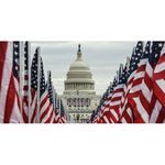 US Capitol.