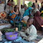 Nigerian refugees.