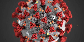 Coronavirus.