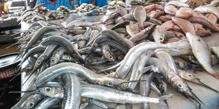 Fish market.