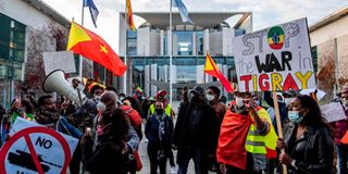 Pro-Tigrayan demonstrators.