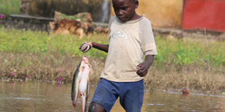 Burundi floods.