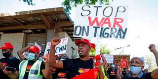 Pro-Tigray protesters