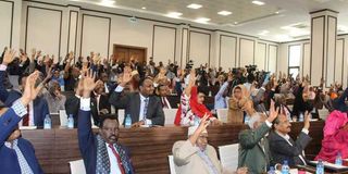 Somalia MPs.