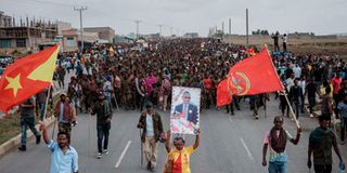 Tigray conflict