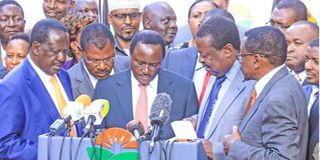 National Super Alliance (Nasa) leaders 