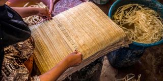 Papyrus sheet