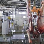 Kenya Meat Commission’s plant