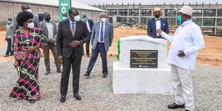 Deputy President William Ruto 