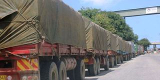 Cargo trucks.
