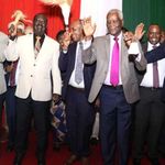 Mt Kenya Foundation 