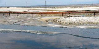 Lake Magadi